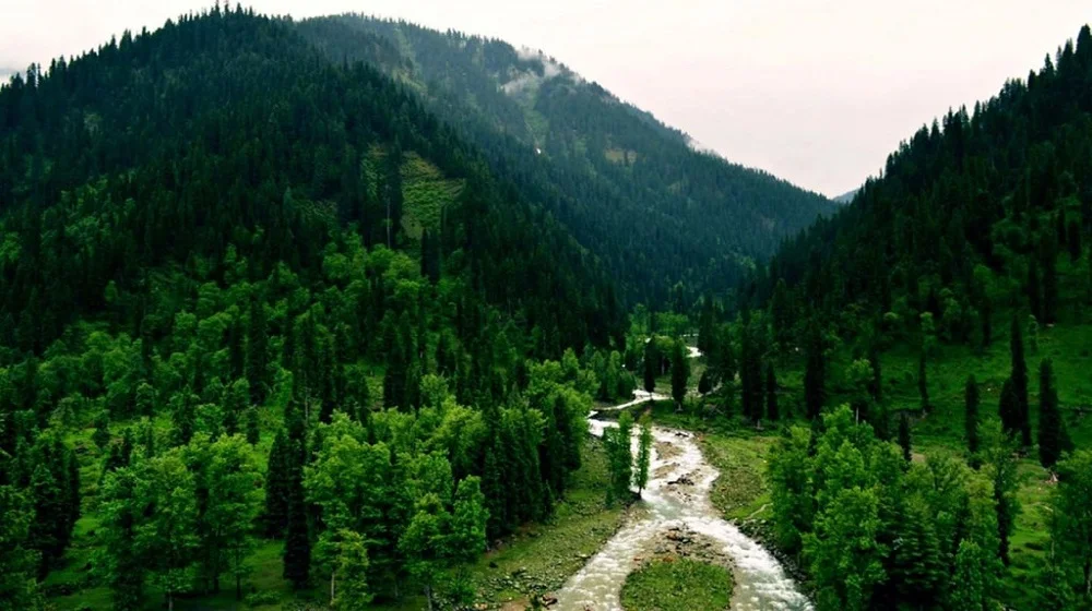 PML-N Leader Dies After Falling Into A Deep Ravine Near Nathia Gali PML-N Charsadda Vice President Babar Khan dies after falling into a 300-foot-deep ravine near Nathia Gali, Abbottabad.