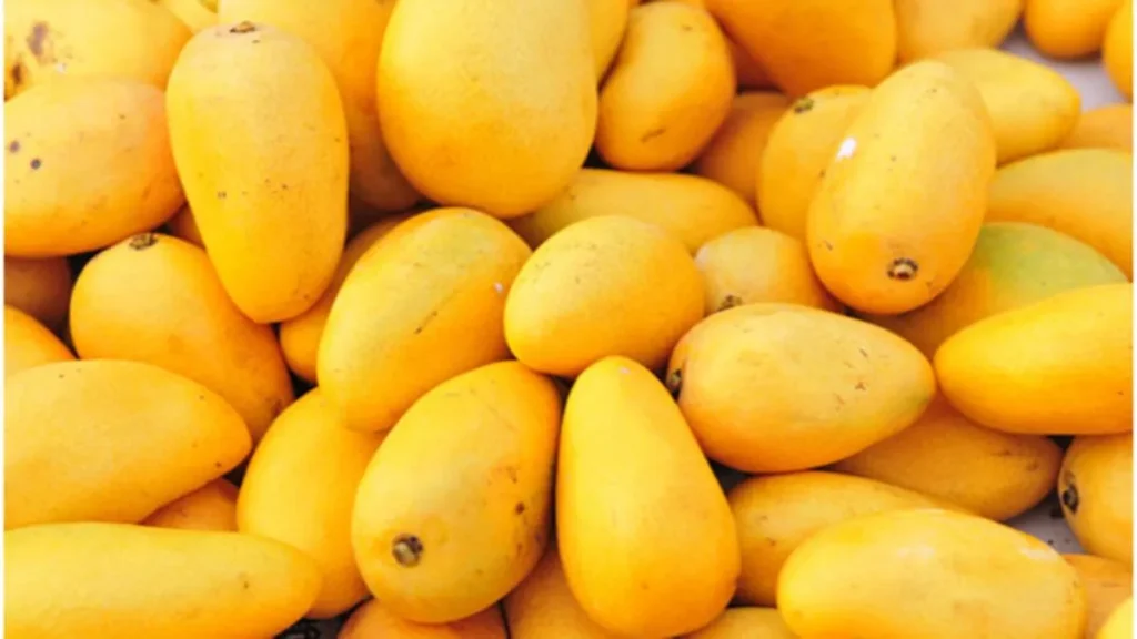 Which Country is the Largest Exporter of Mangoes in the World? Which Country is the Largest Exporter of Mangoes in the World?