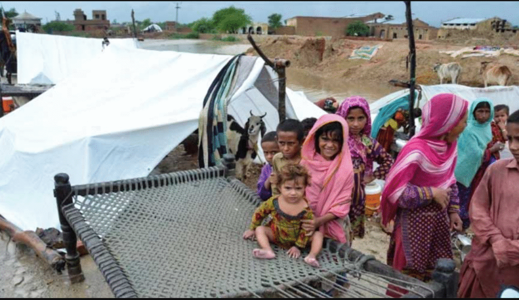 Punjab Distributes Rs6.39 Billion Relief to Flood-Hit Families Punjab flood relief fund