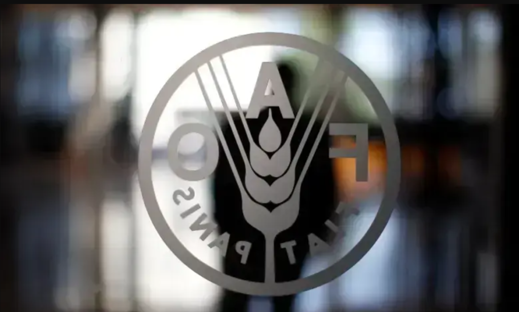 FAO’s Islamabad Summit Could Unlock New Investment Pathways for Pakistan’s Agriculture Sector FAO agriculture investment