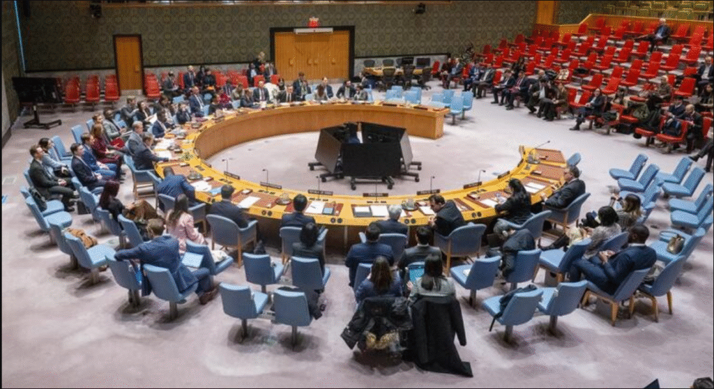 UNSC emergency Venezuela