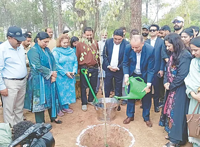Weekly tree plantation drives to start in Islamabad from next month
