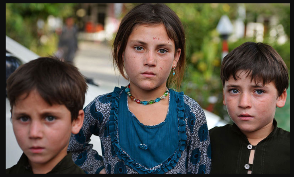 Can Domestic Violence Rewire a Child’s Brain Like a Soldier? Study Finds Similar Patterns in Pakistani Children Domestic Violence