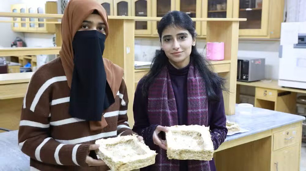 Pakistani Students Create Mushroom-Based Packaging to Fight Plastic Waste Crisis