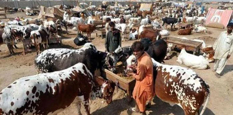 SUPARCO Predicts Eid ul Adha Likely on May 27 in Pakistan