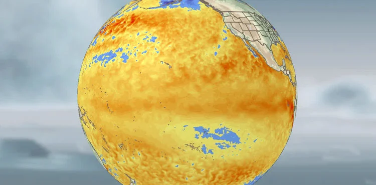 80% chance of El Nino developing June-August: UN