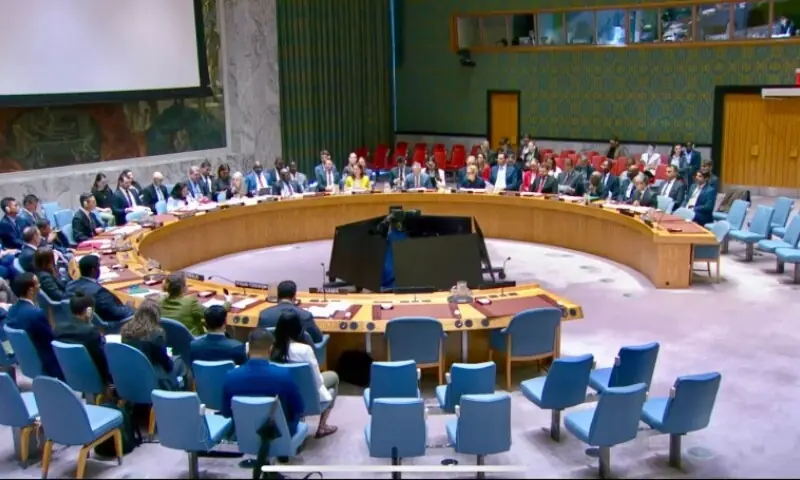 UN Security Council Adopts Pakistan-Denmark Resolution to Protect Peacekeepers UN Security Council Adopts Pakistan-Denmark Resolution to Protect Peacekeepers