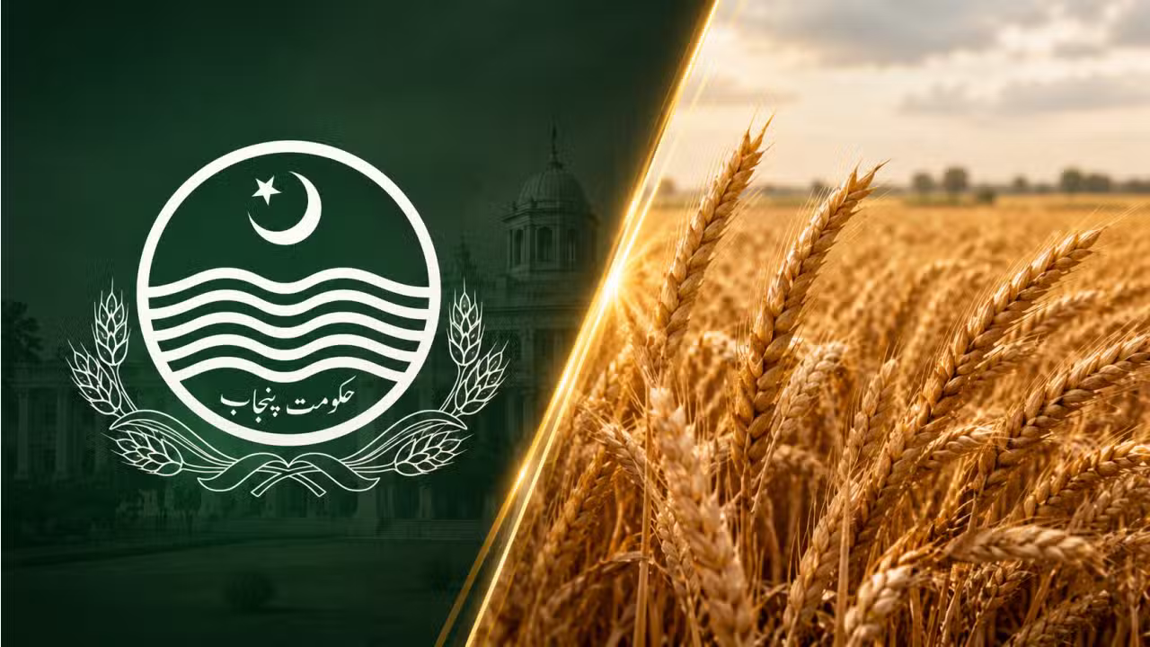 Punjab Wheat Procurement Falls Short of Target, Raising Supply Concerns