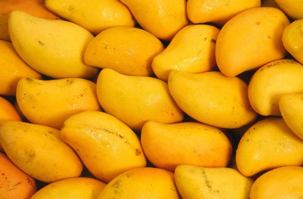 Japan Halts Indian Mango Imports After Quarantine Facility Inspection