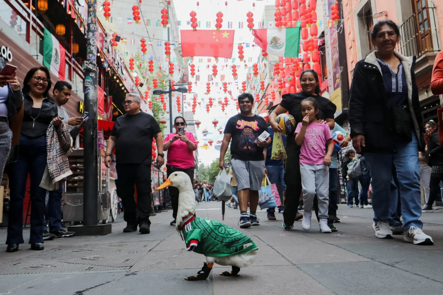 Merlin the Duck Becomes Viral Star of Mexico’s World Cup Campaign
