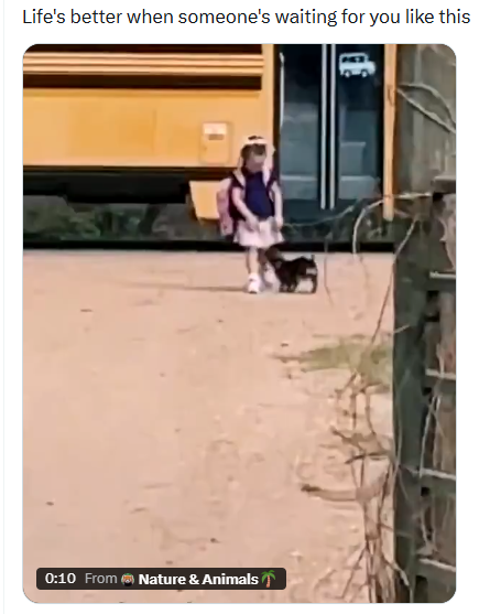 Puppy’s Heartwarming Welcome to Schoolgirl Goes Viral on Social Media Viral video shows puppy warmly greeting schoolgirl after bus arrival, highlighting a heartwarming bond that captured social media attention.