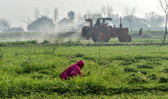 PM Shehbaz Says Agriculture Can Revive Pakistan’s Economy PM Shehbaz Says Agriculture Can Revive Pakistan’s Economy