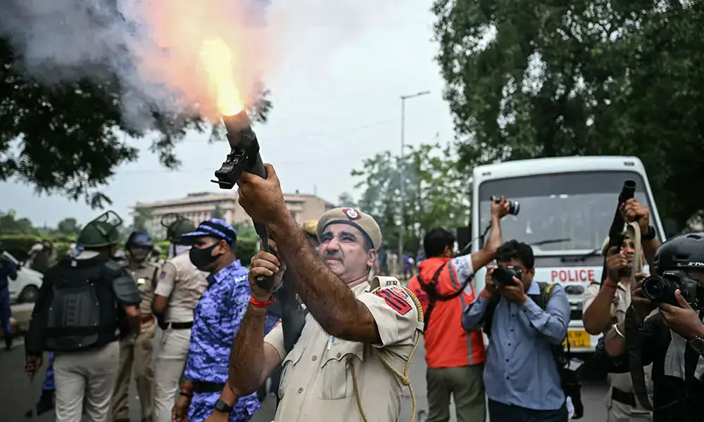 ‘Cockroach’ Protest Row Grows as Indian Activists Seek Release of Detainees