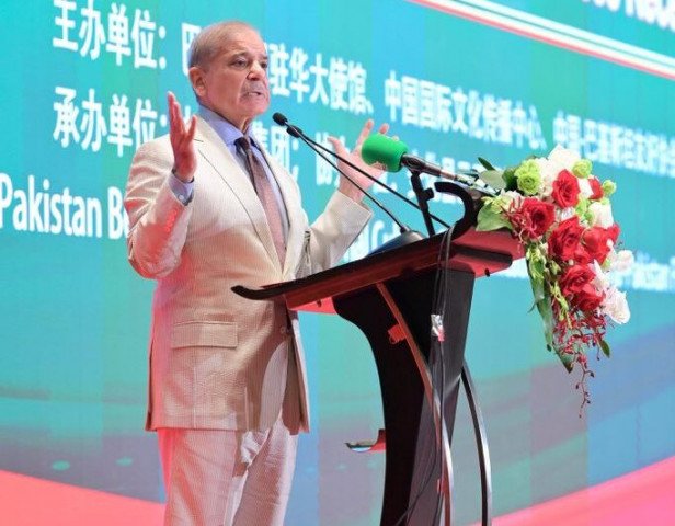 PM Shehbaz Vows Strong Security For Chinese Nationals PM Shehbaz Vows Strong Security For Chinese Nationals