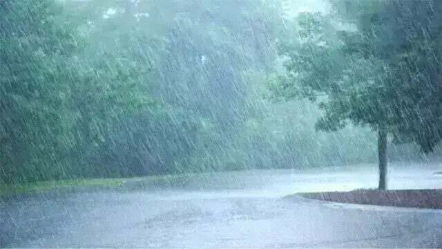 ERC Calls for Stronger Coordination During Monsoon Season ERC Calls for Stronger Coordination During Monsoon Season