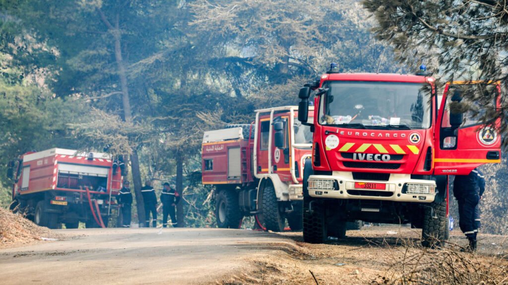 Eleven killed, 19 injured in orphanage fire near Algeria’s capital