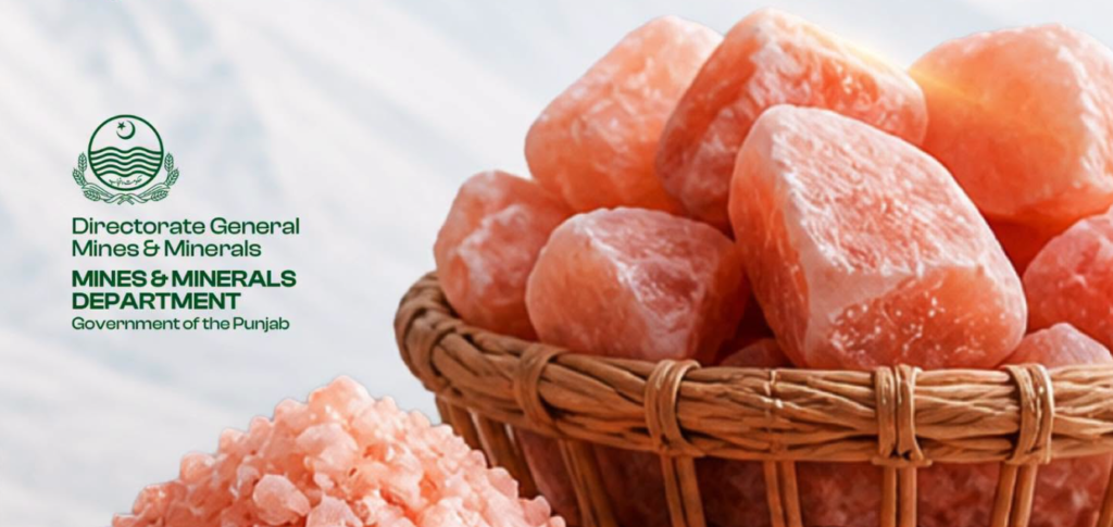 Punjab Launches Pink Salt Financing Scheme for Value Addition Punjab Launches Pink Salt Financing Scheme for Value Addition