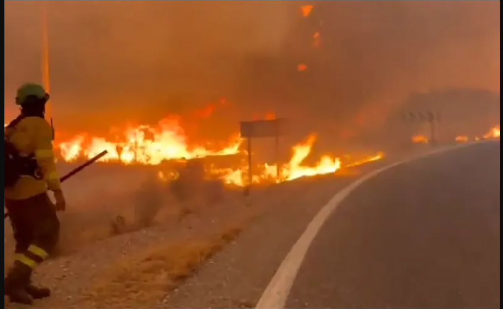Spain Wildfire Turns Deadly as Death Toll Rises to 12 and Dozens Remain Missing Spain Wildfire