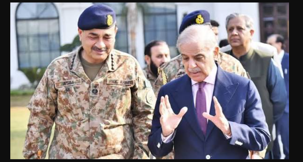 PM to Head National Population Council With Field Marshal Among Members National Population Council Pakistan