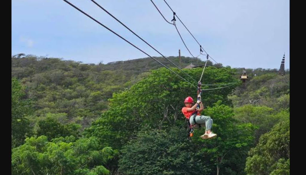 Authorities Seal Illegal Ziplines at Popular Tourist Spots Illegal Ziplines