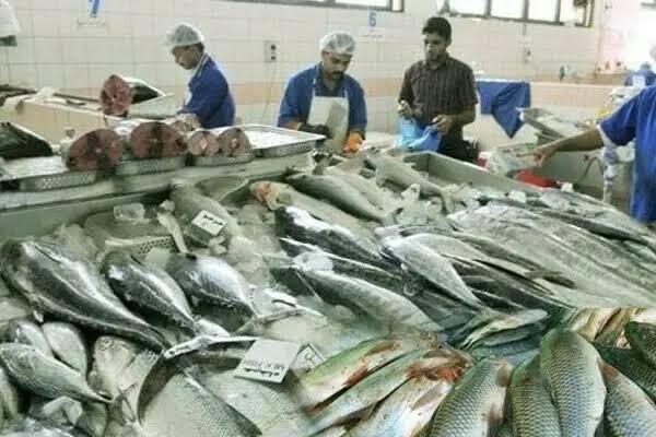 PBS Data Challenges Government’s Record Seafood Export Claim