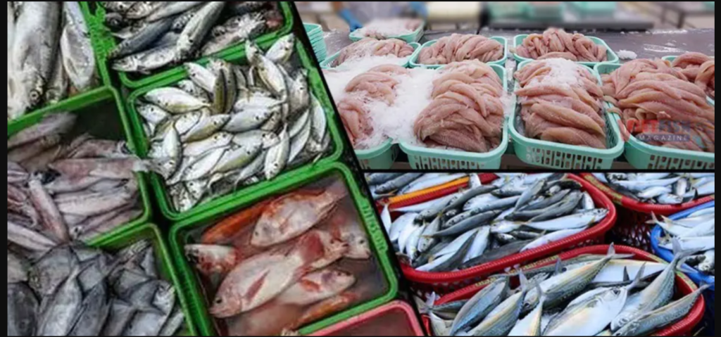Pakistan’s Seafood Exports Reach Record High in FY26 Pakistan seafood exports