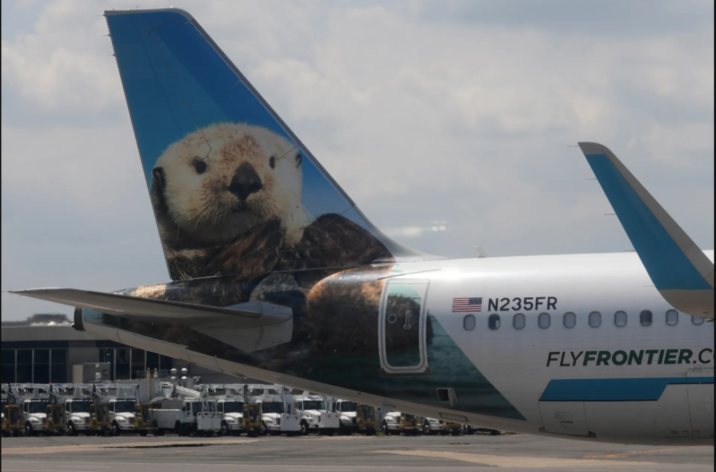 What’s Behind the Sharp Decline in US Summer Travel This Year? US summer travel