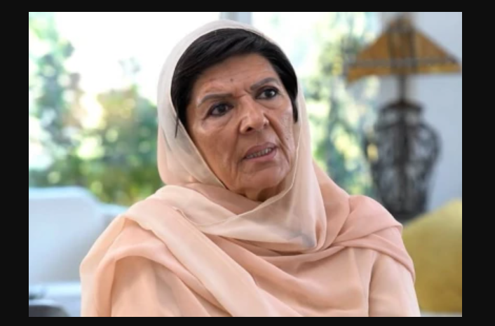 Aleema Khan Questions Judicial Independence, Says Authorities Now Decide Legal Outcomes