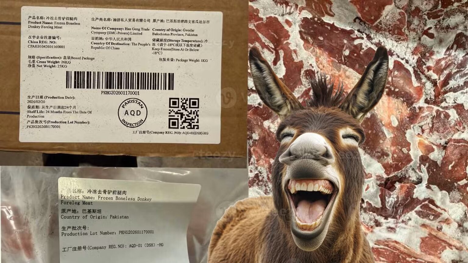 Is Pakistan Really Exporting Donkeys to China?