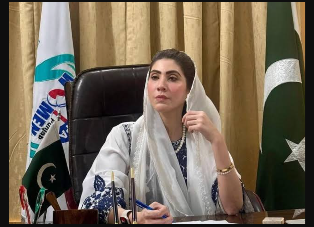 TikTok Live Income Claim Sparks Debate as Hina Parvez Butt Warns of ‘Corrupting Our Children’ Hina Parvez Butt TikTok Live