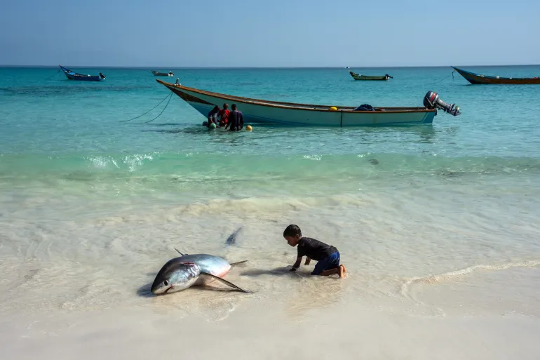World’s oceans record warmest June as marine heatwaves spread, EU monitor says