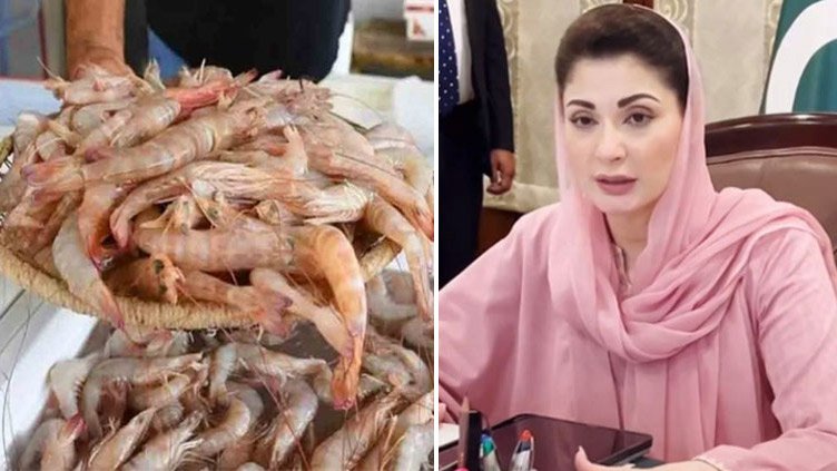 Punjab Launches Shrimp Internship With Rs100,000 Monthly Stipend