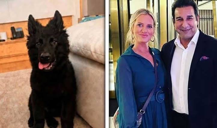 Wasim Akram Pays Cash Reward after Recovery of His Missing Puppy DUKE in Karachi Wasim Akram Pays Cash Reward after Recovery of His Missing Dog in Karachi