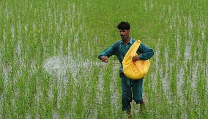 Punjab Steps Up Efforts To Boost Agriculture Sector Punjab Steps Up Efforts To Boost Agriculture Sector