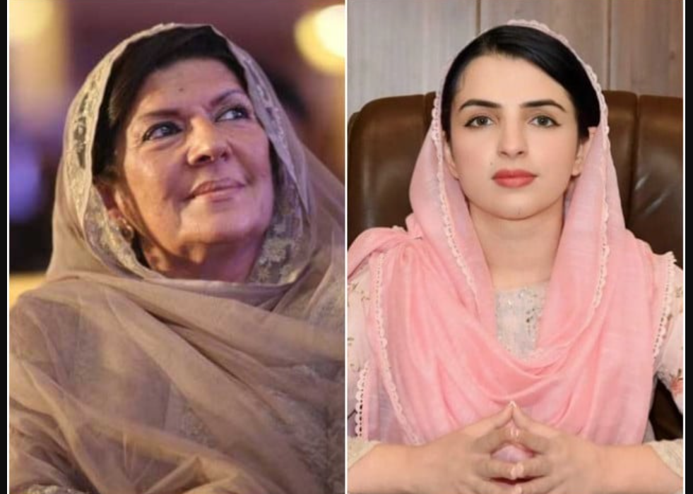 Who Gave Mashal Yousafzai the Ticket? Aleema Khan Questions PTI’s Senate Decision Aleema Khan Mashal Yousafzai