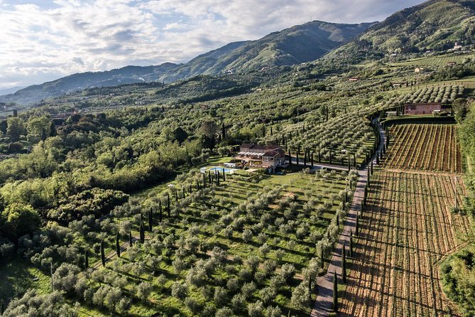 Pakistan to Send Agricultural Graduates to Italy for Training Pakistan to Send 100 Agricultural Graduates to Italy for Training