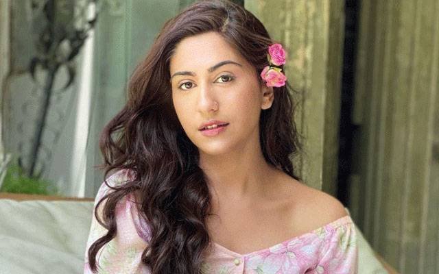 Actress Naeema Butt Critical of Global Beverage Brand over Gaza Boycott Debate