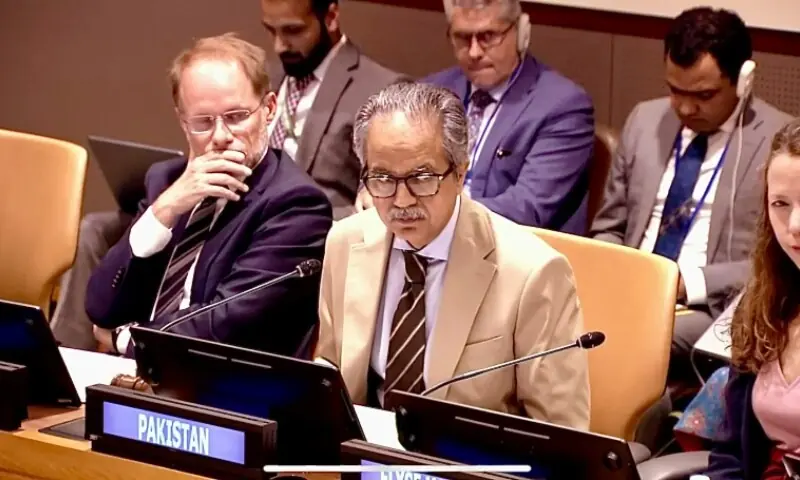 ‘As and When Needed’: Pakistan Sends Strong Message to UNSC Over Afghan Terror Threats