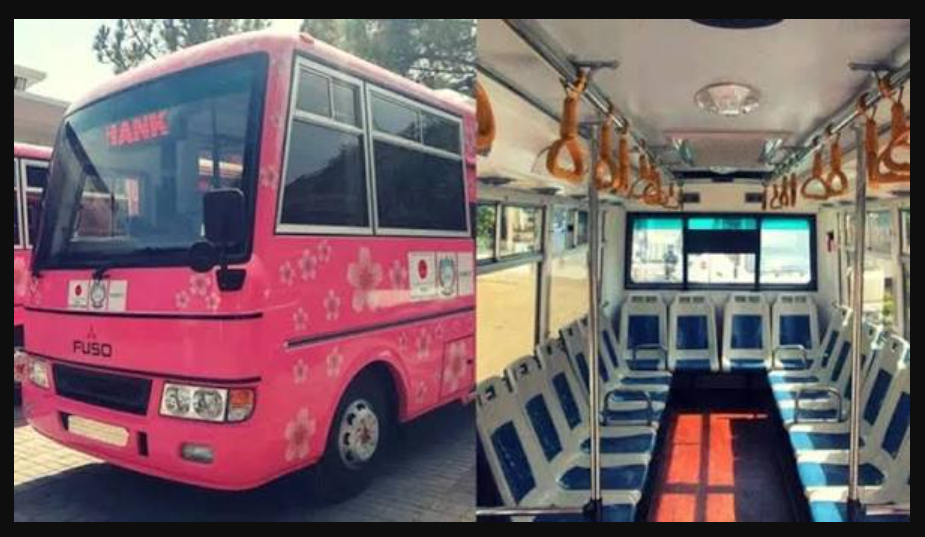 Peshawar BRT Gets 52 New Buses: What’s Changing for Passengers? pink buses