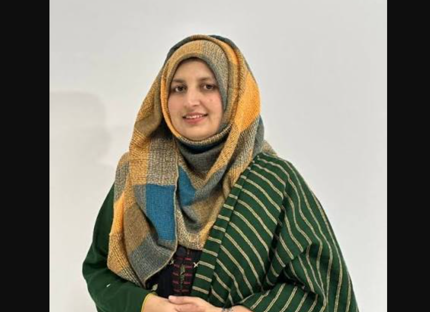 Transformer Hookup Exposed: Former PTI MNA Sidra Faisal Faces Power Theft Allegation electricity theft