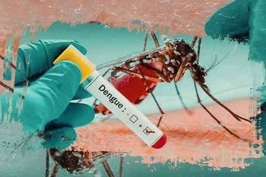 Court Issues Arrest Warrants for 27 Doctors in Dengue Death Case Dengue