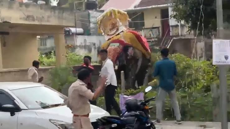Elephant Carrying Heavy Shrine Sparks Panic at Indian Festival Elephant Carrying Heavy Shrine Sparks Panic at Indian Festival