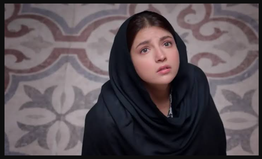 “Hurmat Ka Allah Hi Hafiz Hai”: Why Dananeer Mubeen Is Hinting at More Drama Dananeer Mubeen Hurmat drama
