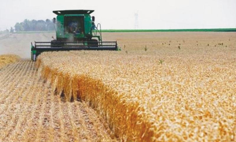 Pakistan Expands Agricultural Exports to 10 New Markets as Food Trade Deficit Shrinks