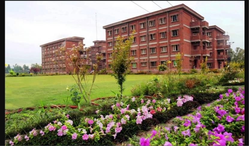 Why Did the Constitutional Court Reject Benazir Women University’s Case Against Lecturer Syeda Laila? Benazir Women University lecturer case