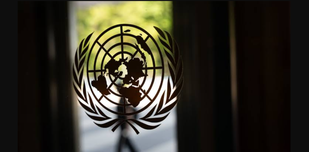 UN Security Council veto power